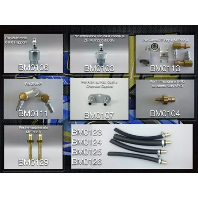 Bluematic Evolution - Attrezzatura per cambi automatici, Robotizzati e servosterzo - immagine 7